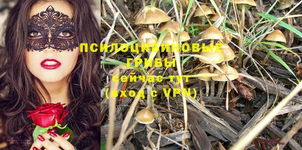MDMA Нязепетровск