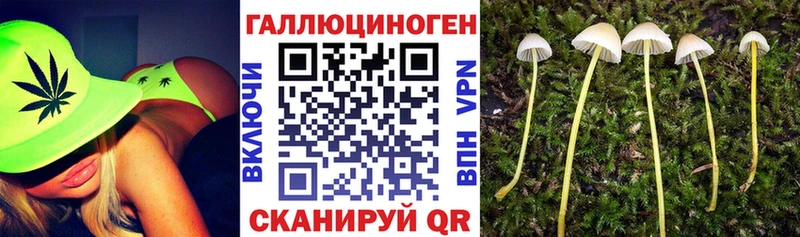 Галлюциногенные грибы мухоморы  Разумное 